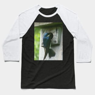 Swallow Bird Checking Out a Birdhouse Baseball T-Shirt